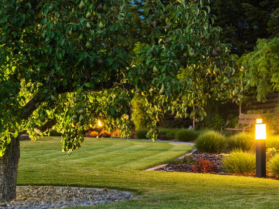 The Seattle Homeowner’s Guide to Sustainable Landscaping