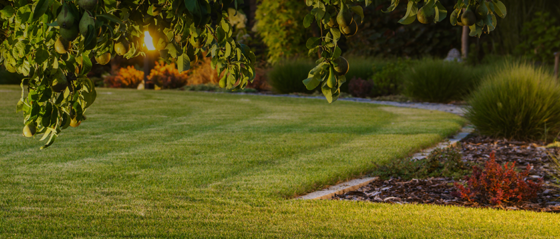 Landscaping Services in Seattle: Complete Outdoor Solutions with JJ’s Landscaping & Irrigation