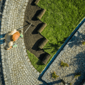 Landscaping Mistakes To Avoid