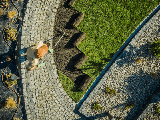 Landscaping Mistakes to Avoid: Save Time and Money in Your Yard