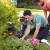 Low-Maintenance Landscaping
