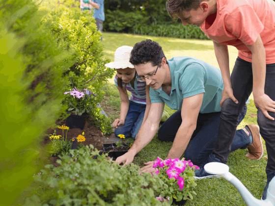 Low-Maintenance Landscaping: How to Achieve a Beautiful Yard Without the Hassle