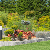 Landscaping Fall Season