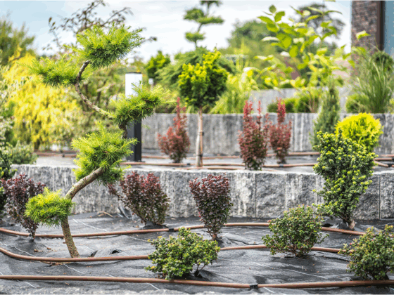 Winter Landscaping Projects & Tips to Ensure a Great Spring and Summer Landscape