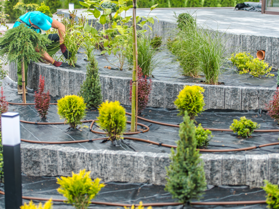 Landscaping Tips for Homeowners: A Practical Guide to Sprinkler Systems and Irrigation