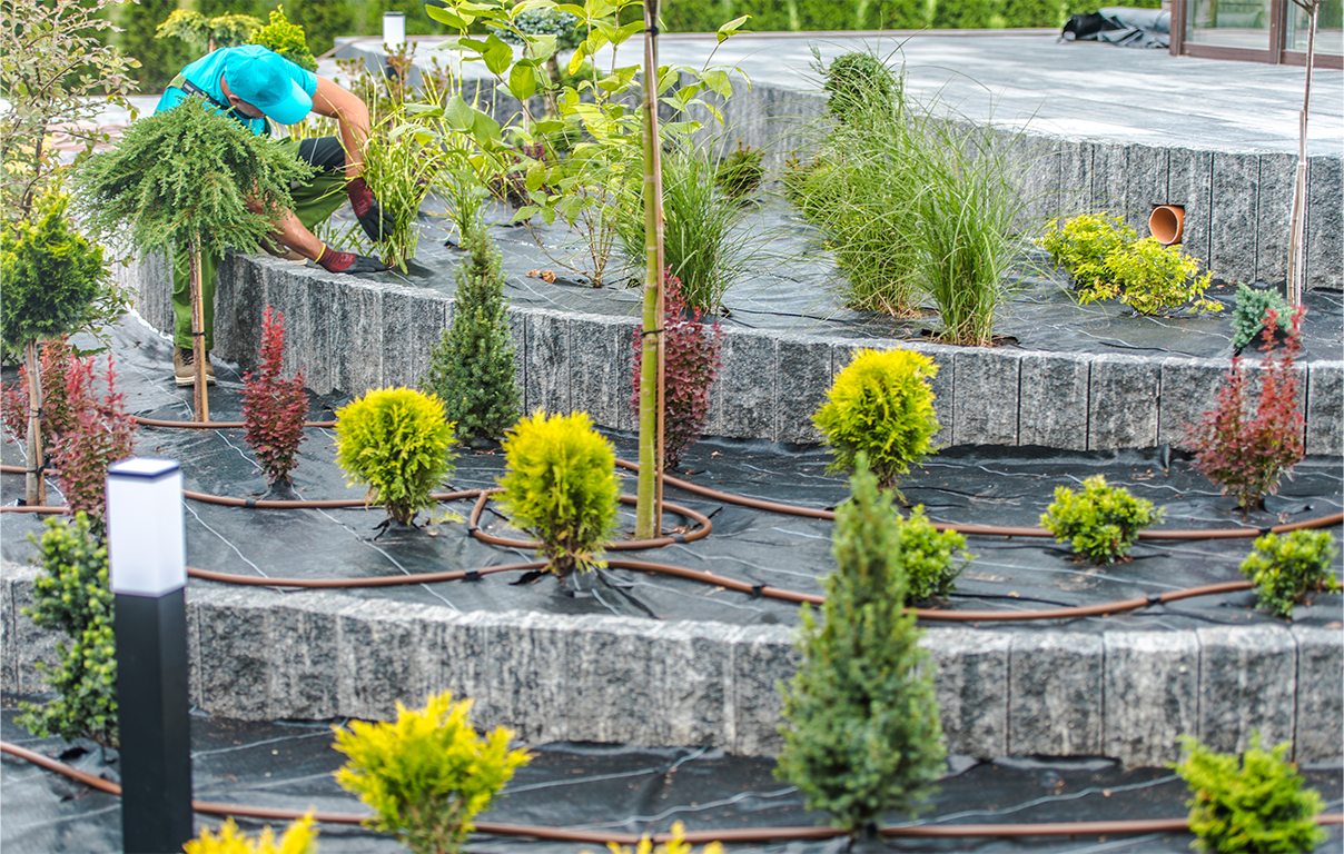 Landscaping Sprinkler System Irrigation Guide